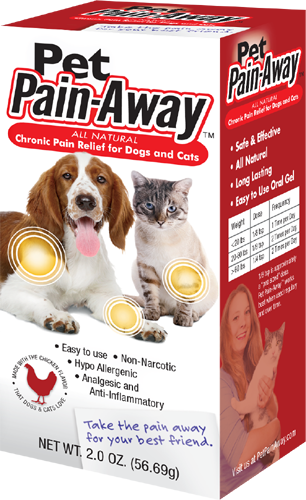 Pain Relief for your Dog or Cat
